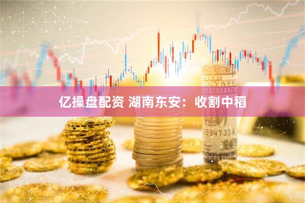 亿操盘配资 湖南东安：收割中稻