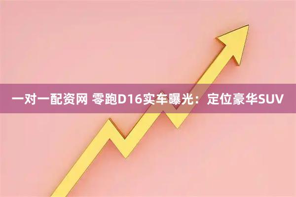 一对一配资网 零跑D16实车曝光：定位豪华SUV