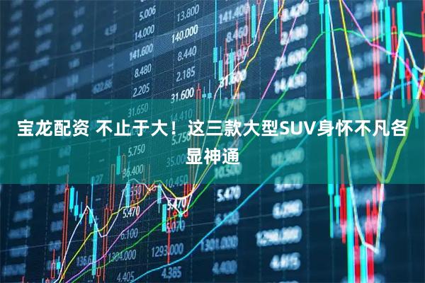 宝龙配资 不止于大！这三款大型SUV身怀不凡各显神通
