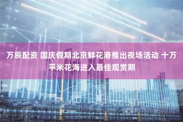 万辰配资 国庆假期北京鲜花港推出夜场活动 十万平米花海进入最佳观赏期
