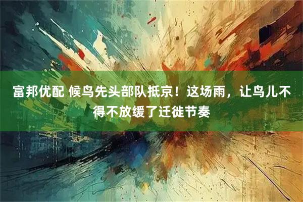 富邦优配 候鸟先头部队抵京！这场雨，让鸟儿不得不放缓了迁徙节奏